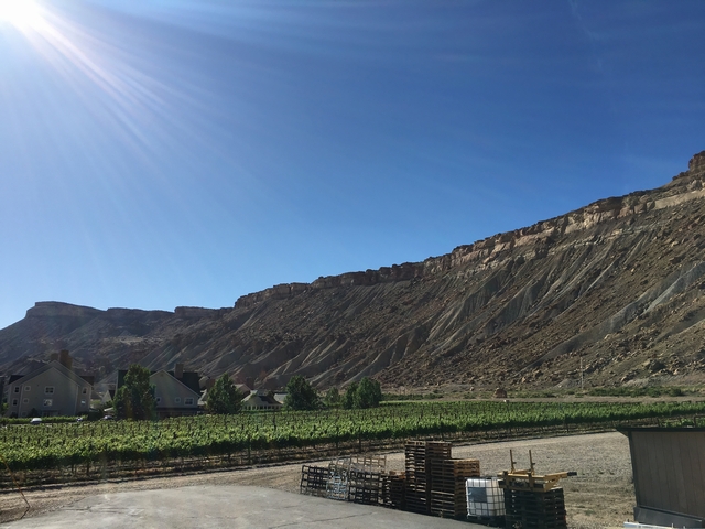 グランドリバーヴィンヤード Grande River Vineyards