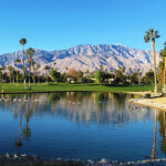 ヘルシーなパームスプリングスの大人女子旅