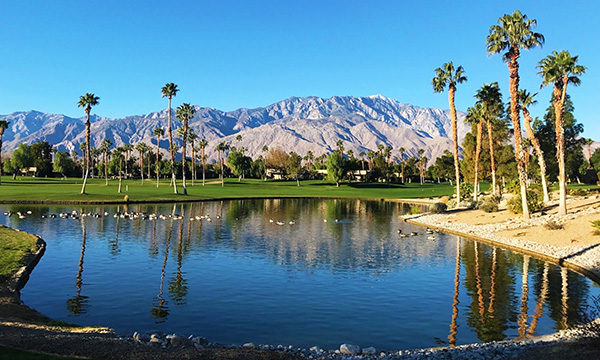 ヘルシーなパームスプリングスの大人女子旅