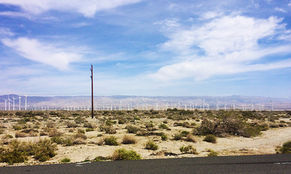 ヘルシーなパームスプリングスの大人女子旅