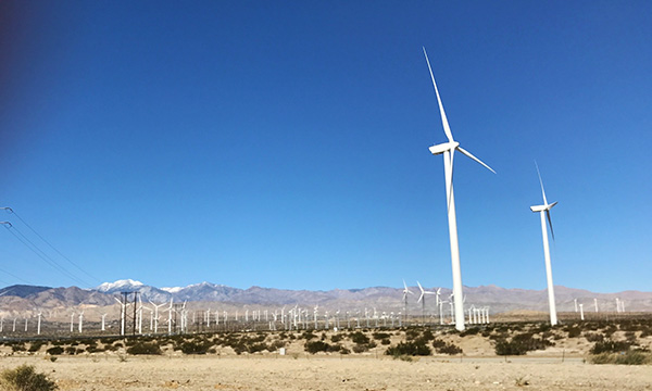 ヘルシーなパームスプリングスの大人女子旅
