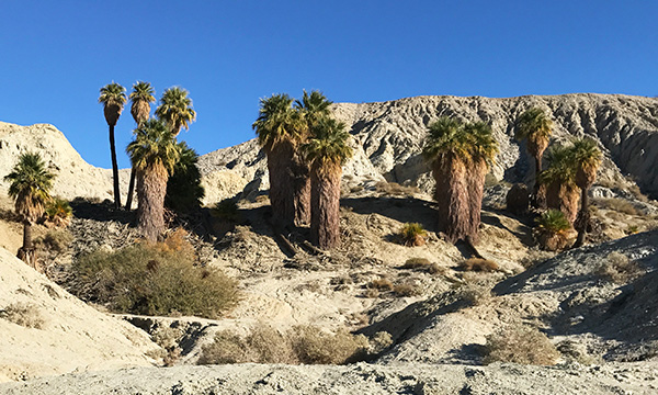 砂漠の中を駆け巡るアクティブジープツアー