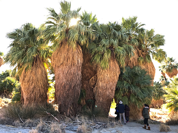 砂漠の中を駆け巡るアクティブジープツアー