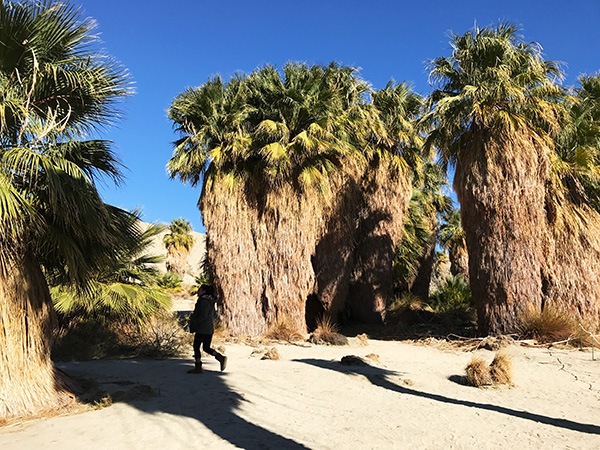 砂漠の中を駆け巡るアクティブジープツアー
