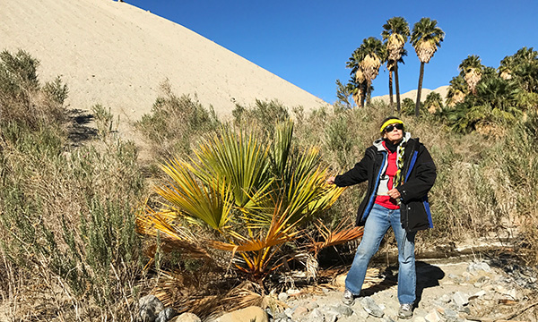 ベテランのガイドさんの解説