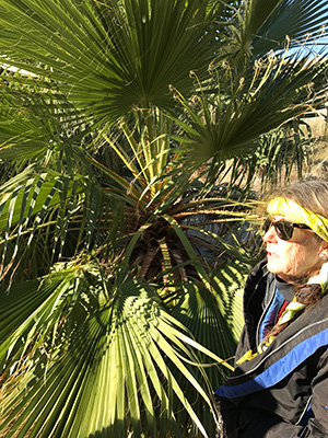 ベテランのガイドさんの解説