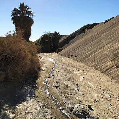 小さな川　貴重な水