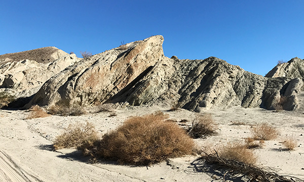 さらに続く砂漠ツアー