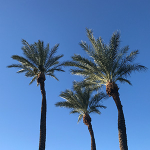 プレイしない人も満足の「ゴルフ天国」！