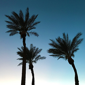 パームスプリングスのサンセット