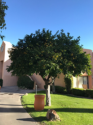 ホテル内の施設など