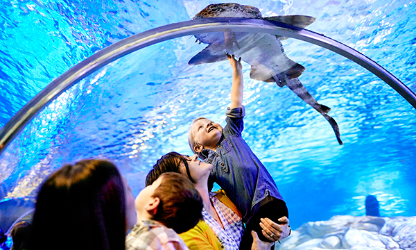 夜のモール・オブ・アメリカ