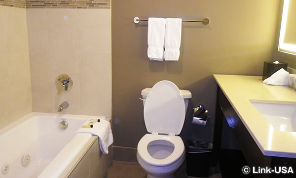 ミレ二アム ホテル ミネアポリス　Millennium Hotel Minneapolis