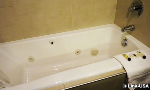 ミレ二アム ホテル ミネアポリス　Millennium Hotel Minneapolis