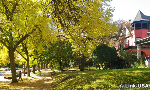 セントポール 市内散策