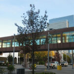 スカイウェイを歩いて朝食へ