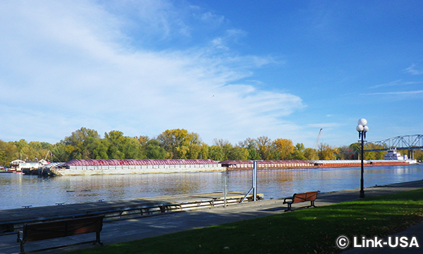 レッドウイング