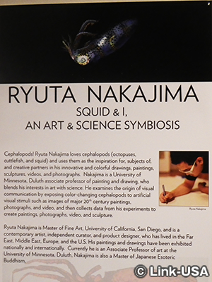 Minnesota Marine Art Museum