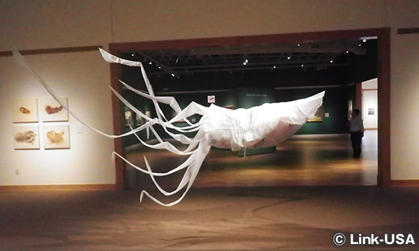 Minnesota Marine Art Museum