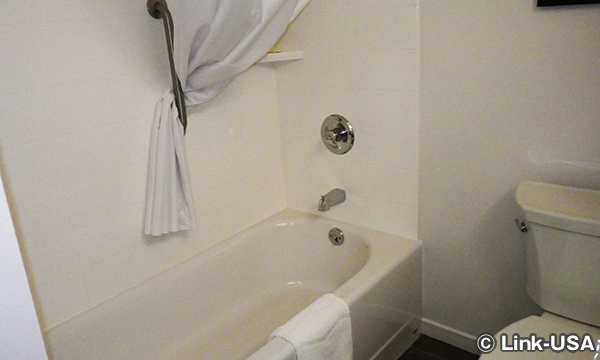 ハンプトン イン & スイーツ ラ・クロス ダウンタウン