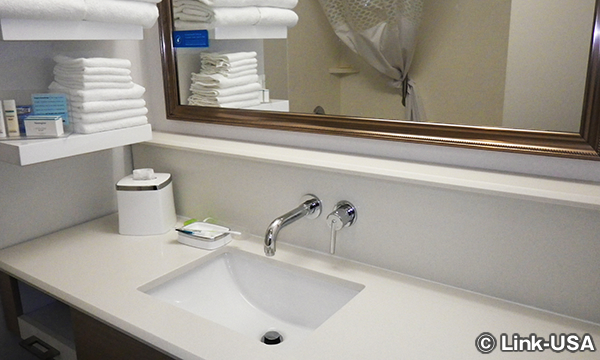 ハンプトン イン & スイーツ ラ・クロス ダウンタウン