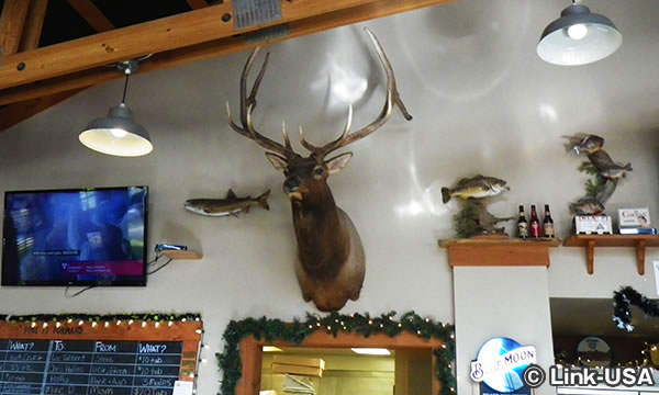 レッド パインズ でランチ