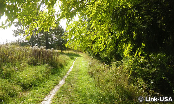 アウトドア レクレーション アライアンス