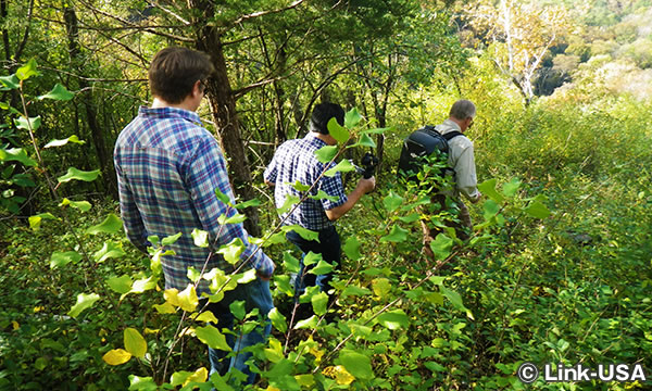 アウトドア レクレーション アライアンス