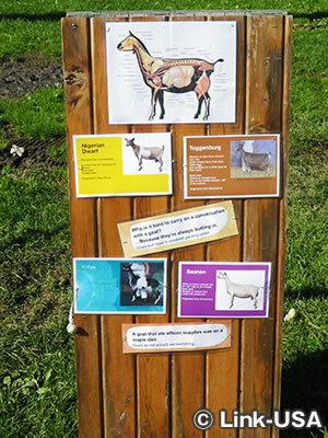 レインボー リッジ ファーム B & B