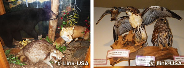 ノースクデールン・ネイチャー & ヘリテージ・センター