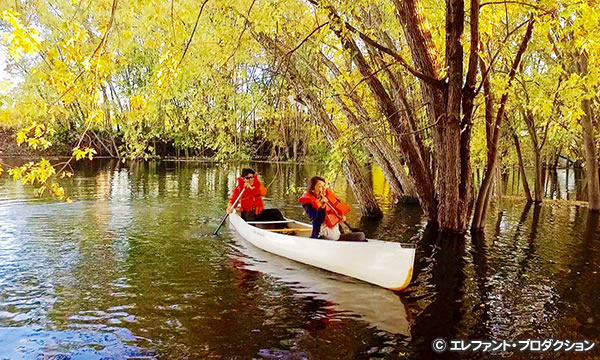 アイランド アウトドアズ