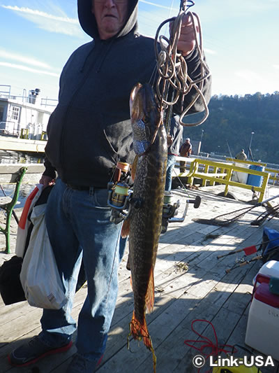 クレメンツ フィッシング バージ（Clements Fishing Barge）