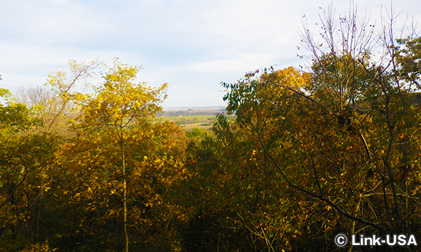 LonghollowでZipline