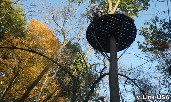 LonghollowでZipline