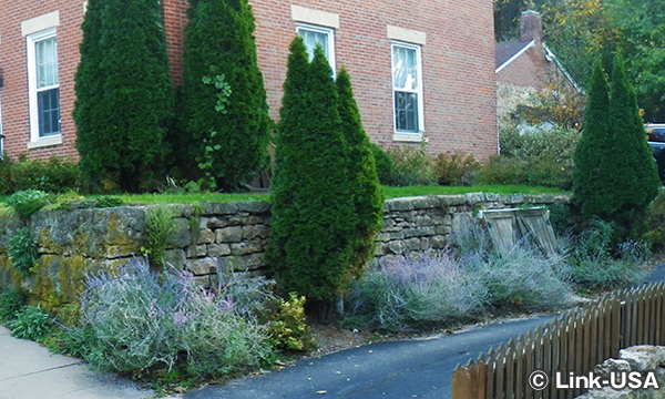 ガリーナ トロリー ツアー