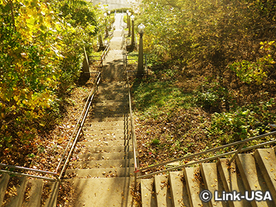 ガリーナ トロリー ツアー
