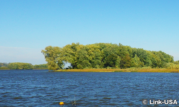 チェスナット マウンテン リゾート