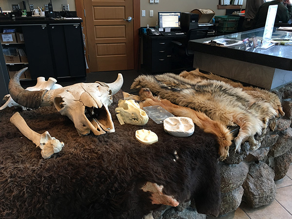 アッパー・ガイザー・ベイスン