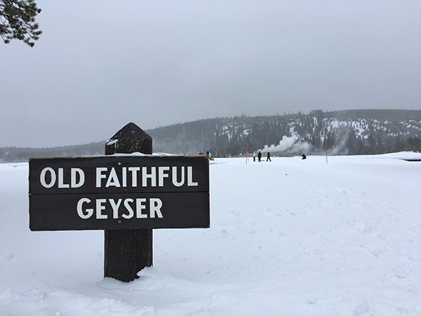 オールドフェイスフル ガイザー