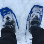 イエローストーン国立公園でスノーシュー