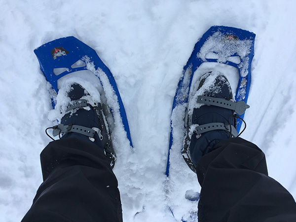 イエローストーン国立公園でスノーシュー