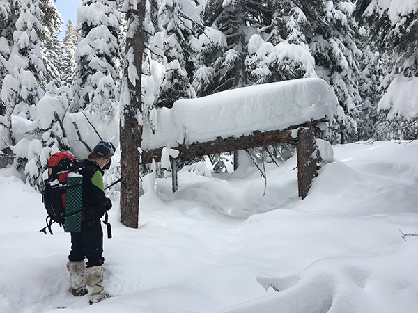 イエローストーン国立公園でスノーシュー