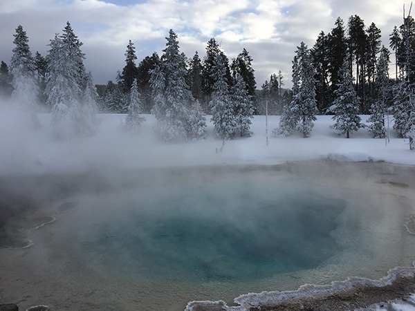 スノーコーチ ツアー