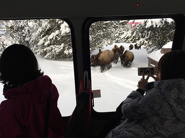 スノーコーチ ツアー