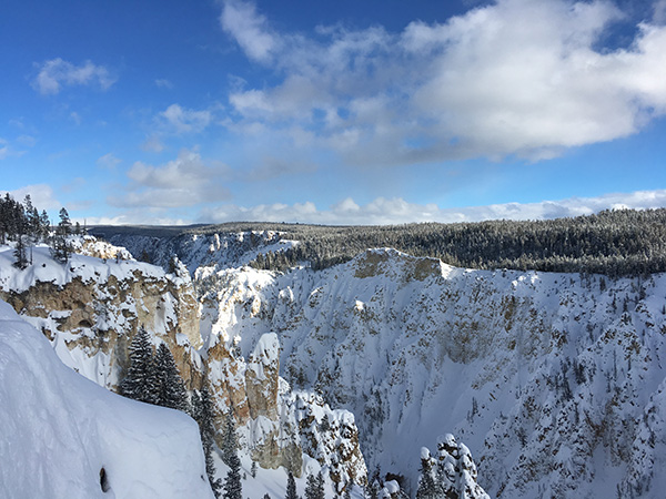 グランド・キャニオン・オブ・ザ・イエローストーン