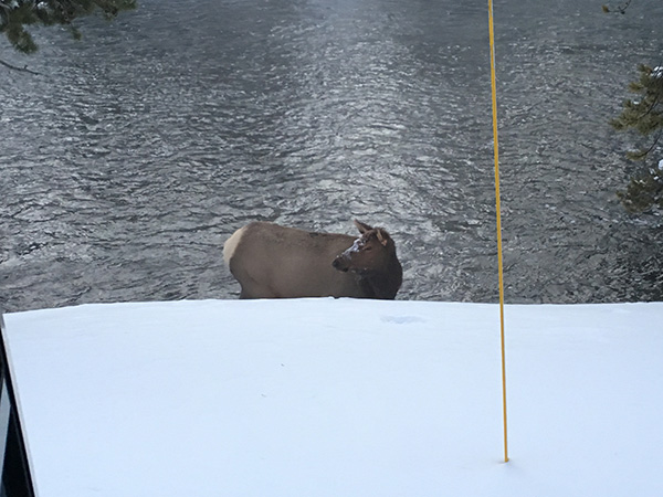 スノーコーチ ツアー