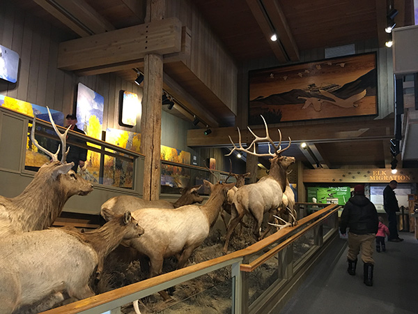 ジャクソンホール & グレーターイエローストーンビジターセンター