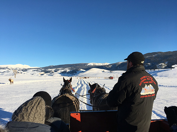 国立エルク保護区　National Elk Refuge