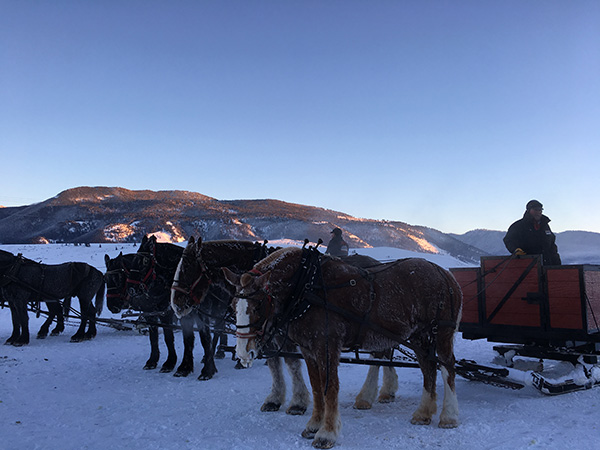 国立エルク保護区　National Elk Refuge