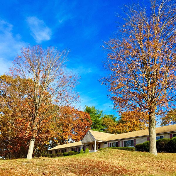 ゴージャス サンセット! Gorgeous sunset !